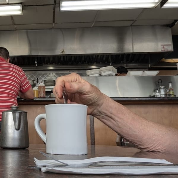 A diner customer stirs coffee at the counter, with a cook working in the background.